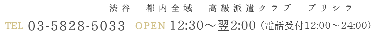03-5828-5033 12:30～翌3時 12:30～翌2:00(電話受付12:00～24:00)